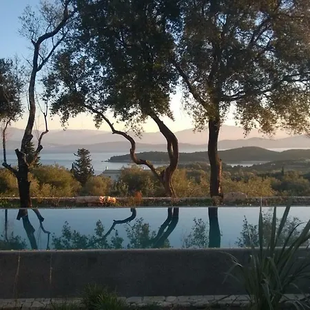 Velanidi